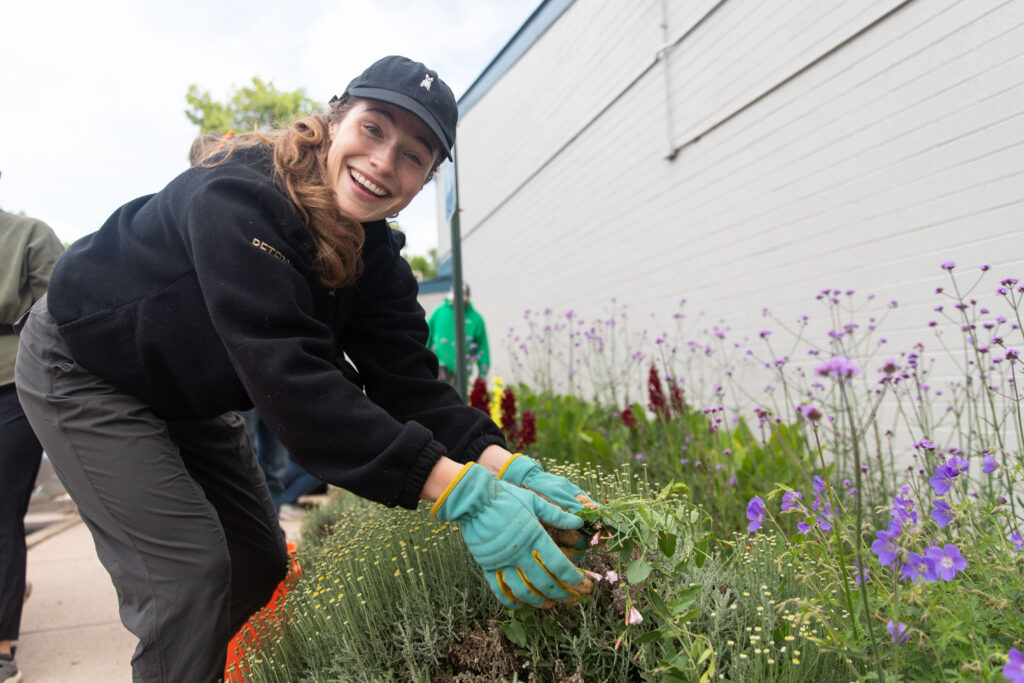 Vermilion volunteering weeding local park